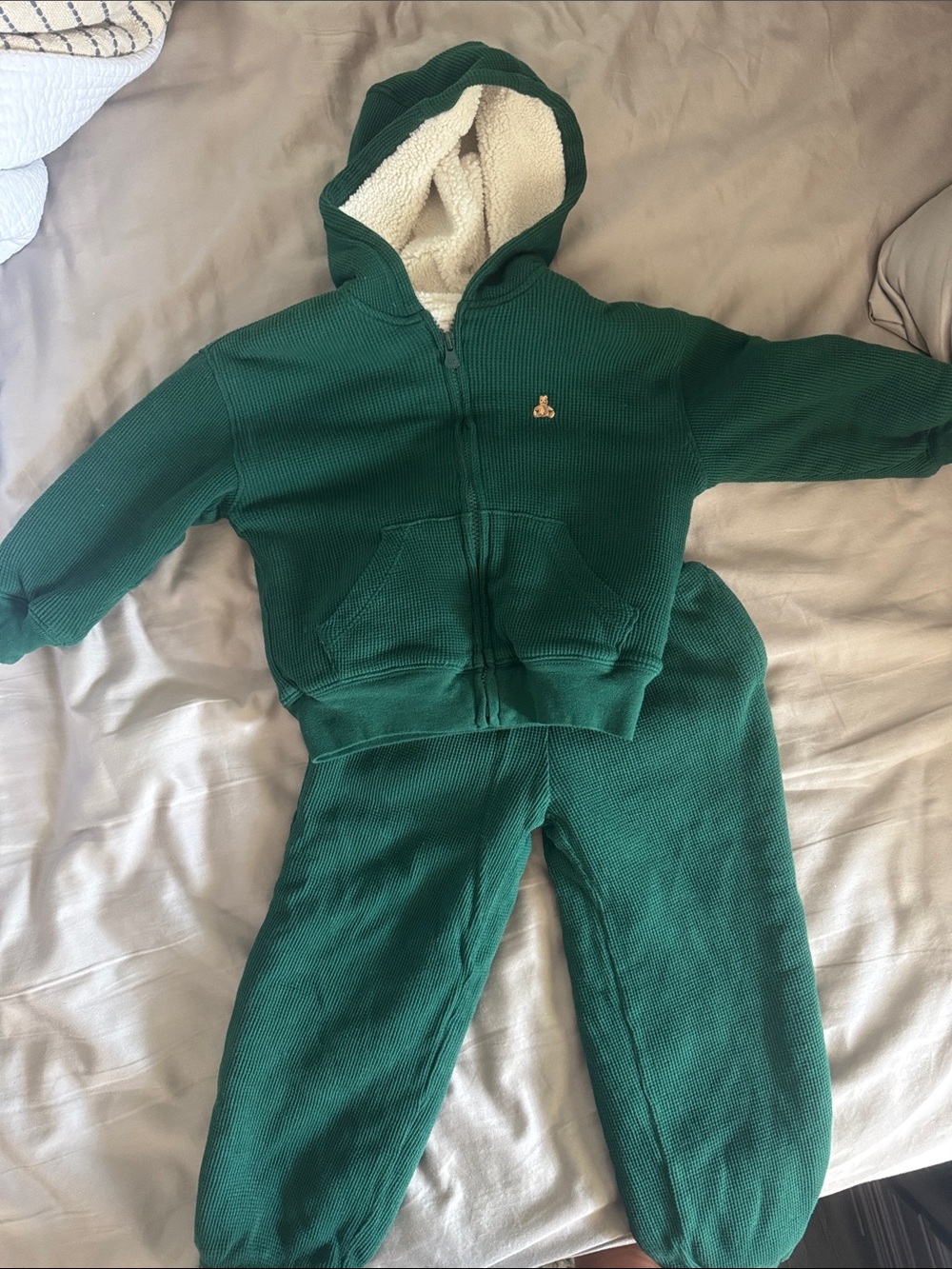 GAP Baby Sherpa-Lined Jacket in Cream with Forest Green Accent